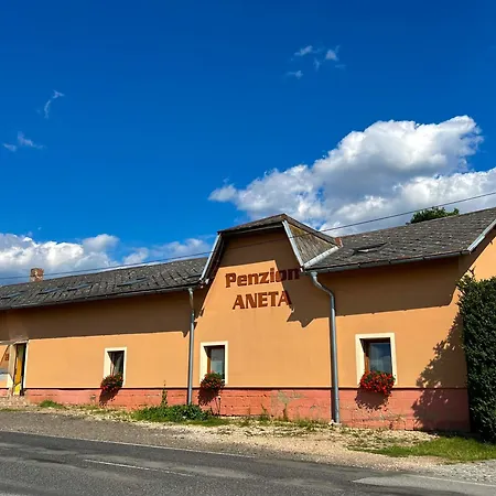 Aneta
