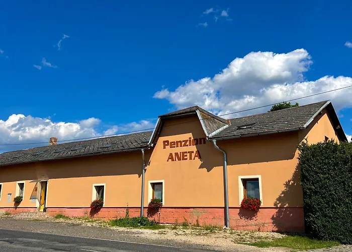 Aneta